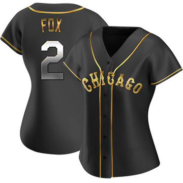 Big & Tall Men's Nellie Fox Chicago White Sox Replica Cream 2021 Field of  Dreams Jersey